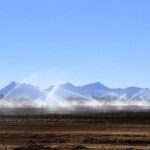 Agricultural Affluence: Feeding the Economy