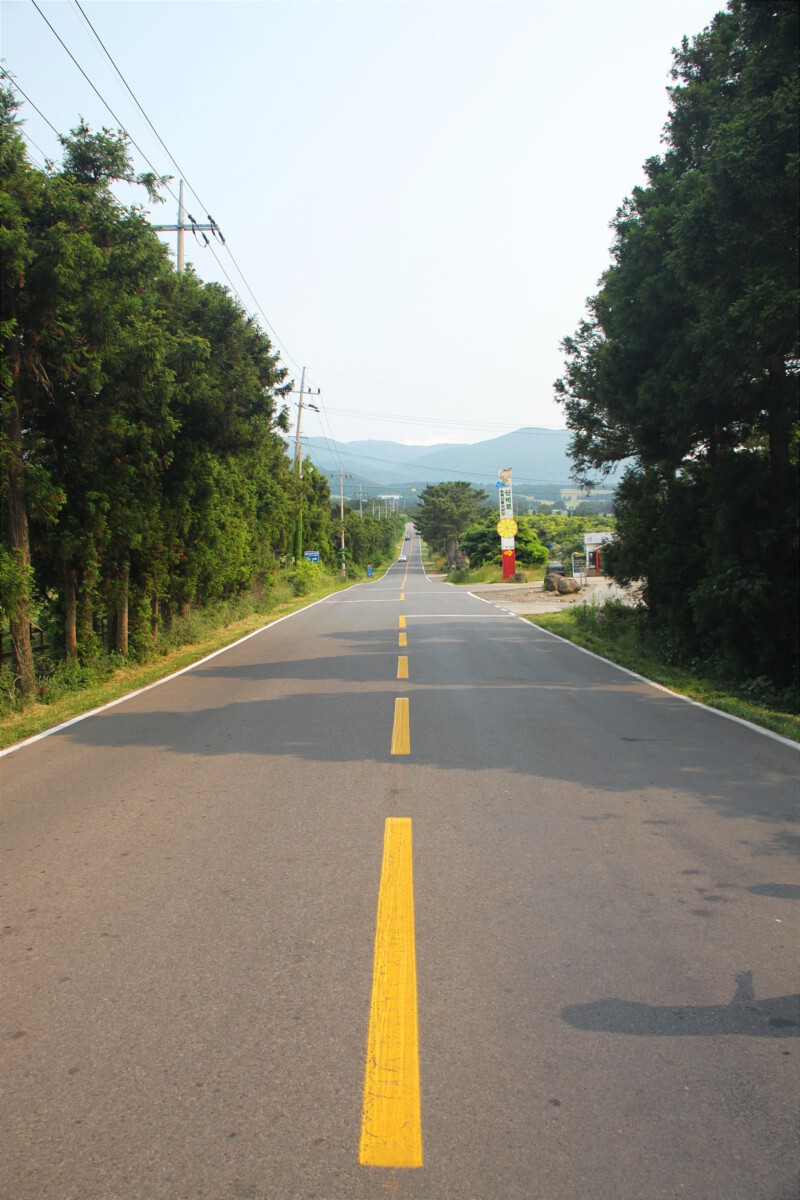 Jeju Mysterious Road – Jeju Island, South Korea