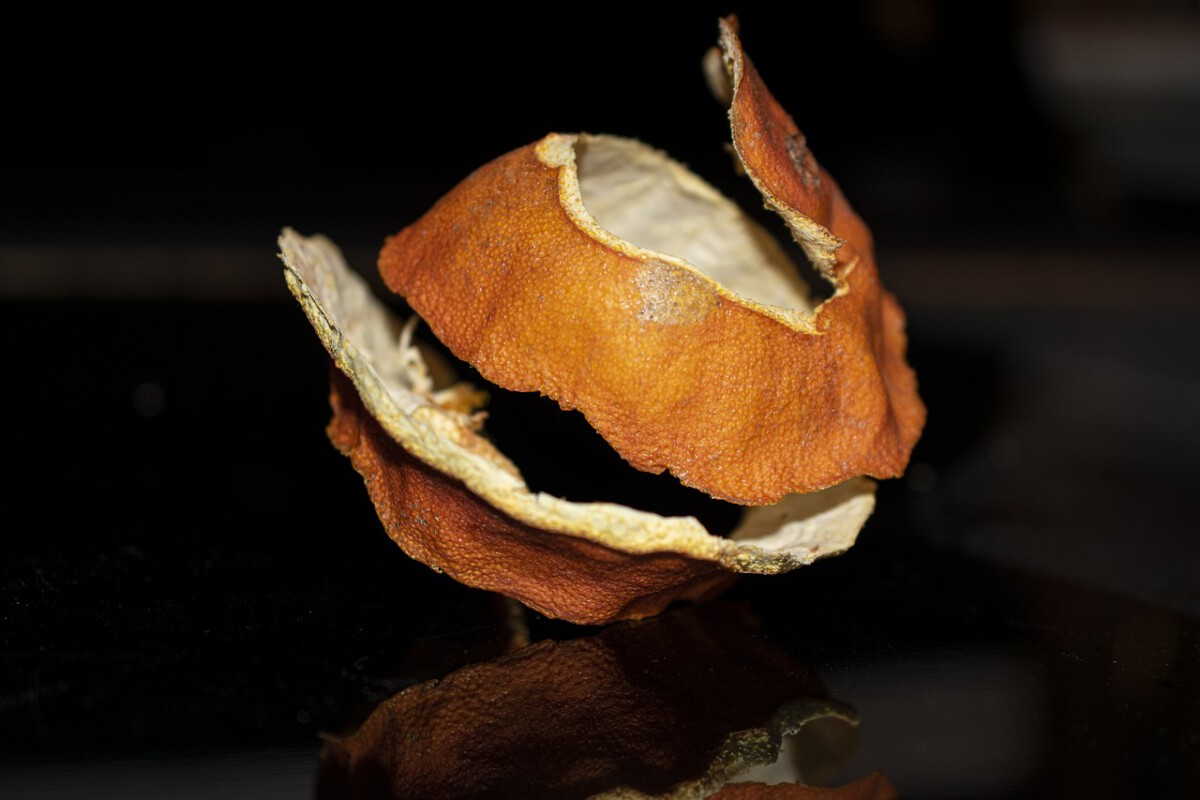 Spitting Orange Peels on Mobile's Sidewalks? Forbidden!