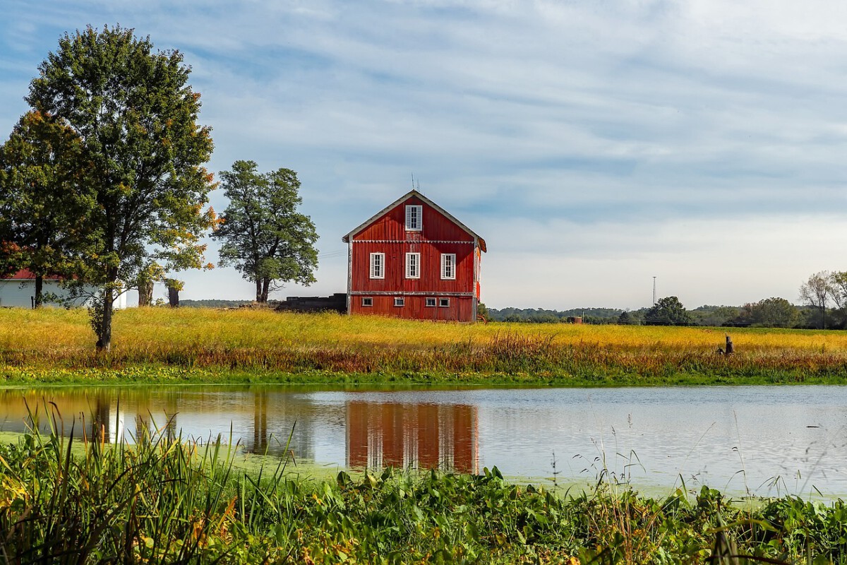 Agricultural Exports: Feeding Both the World and Ohio's Economy