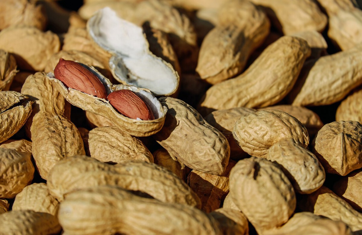 Nuts About Peanuts—But Not on Wednesday Evenings