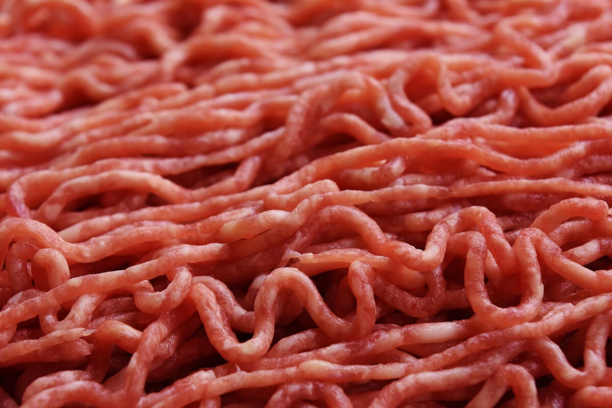 Cellular Agriculture for Meat Alternatives