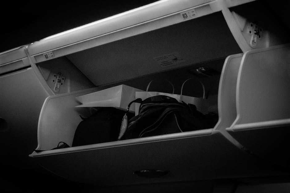 Organizing the Overhead Bins