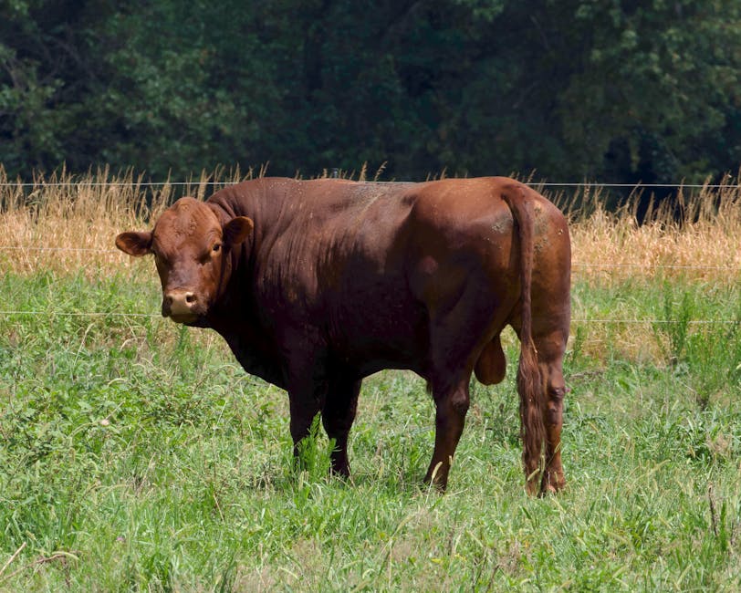 The Power of Agriculture