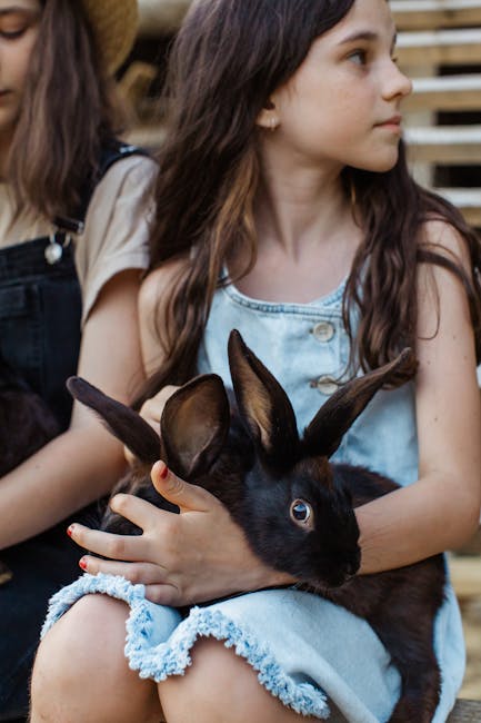 Rabbits: Gentle Souls of Friendship