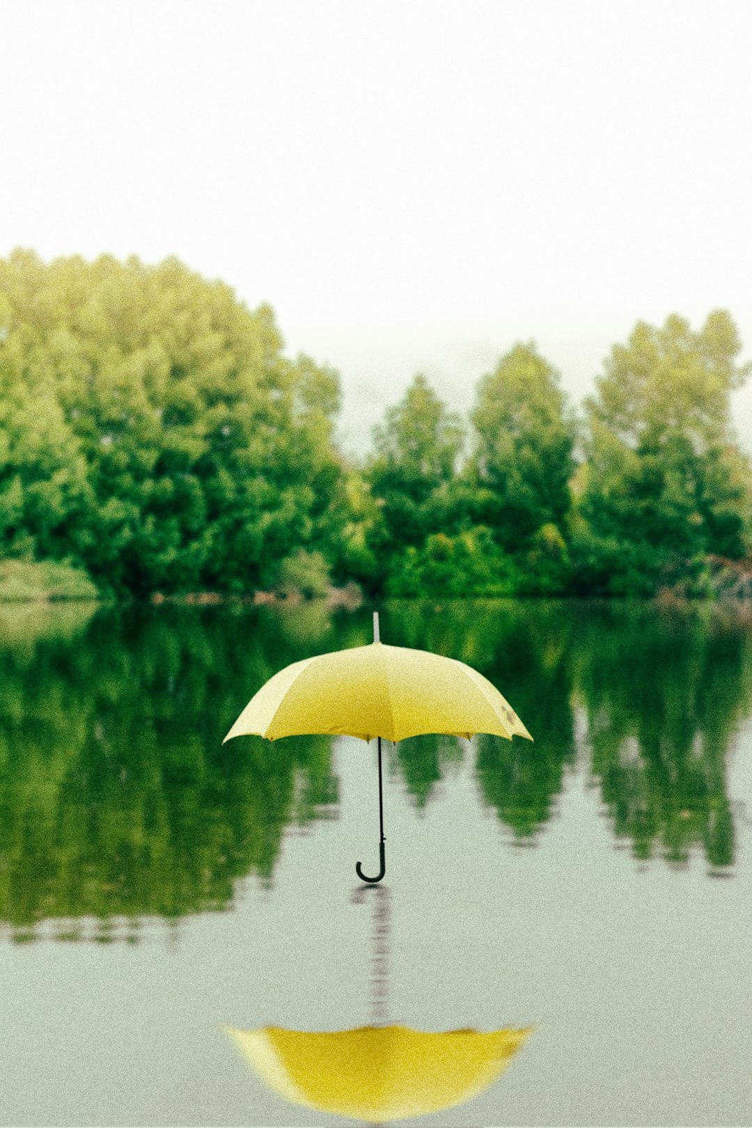 The Strange Rules of Umbrella Etiquette in Montgomery