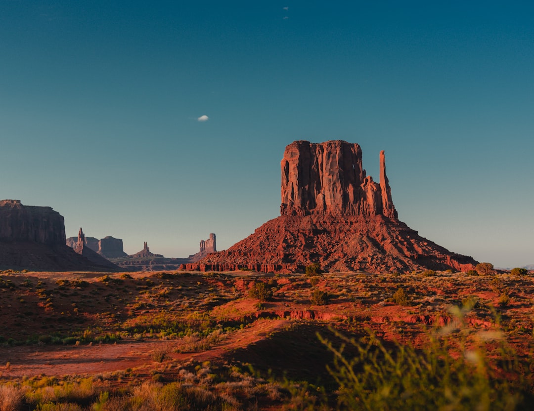 Arizona: Open Skies and Open Spaces for Tanks