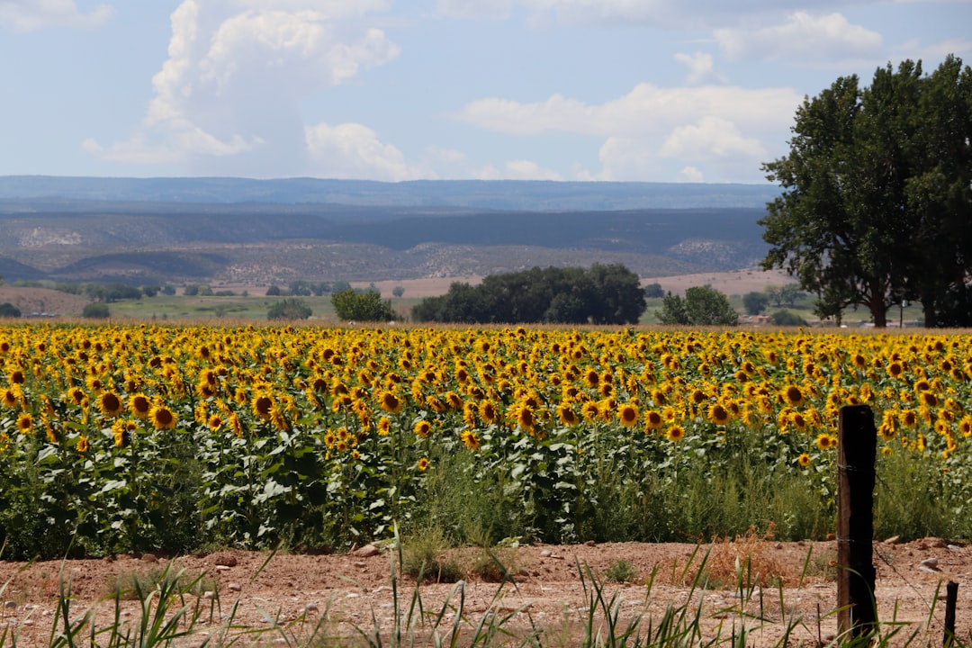 Agriculture’s Impact