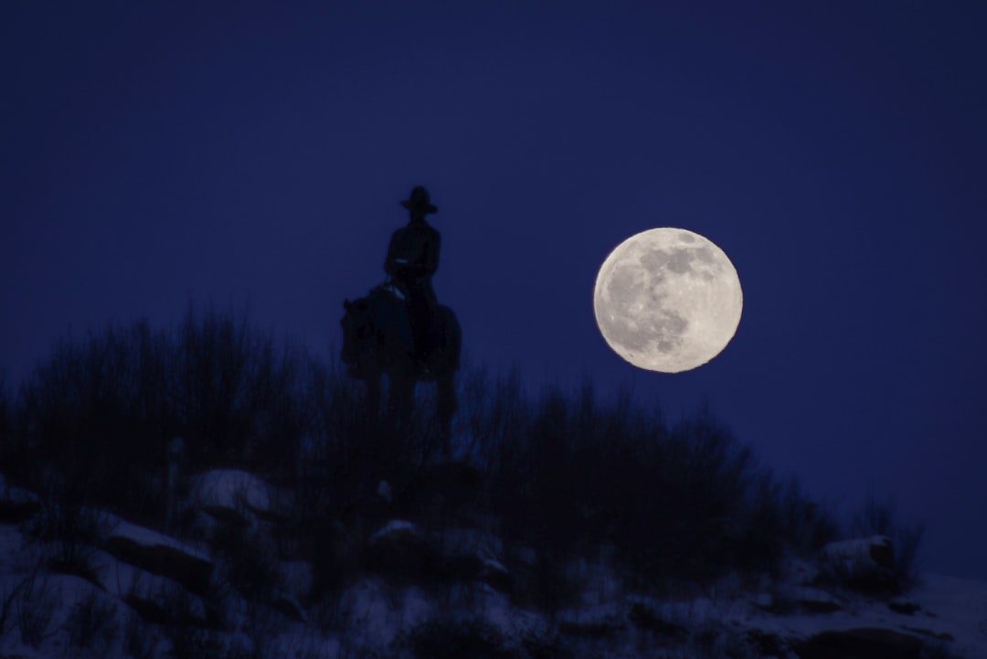 Safety for Night-Riding Horses