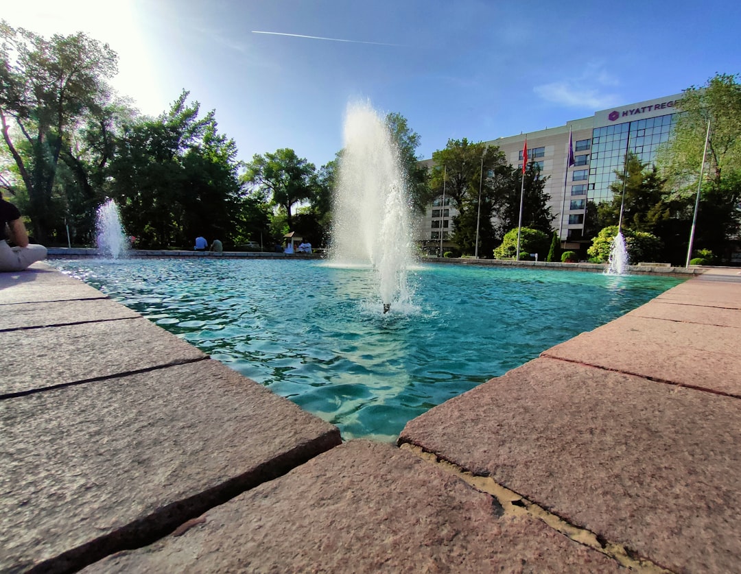 Fountain Bathing Isn't for Mobillians