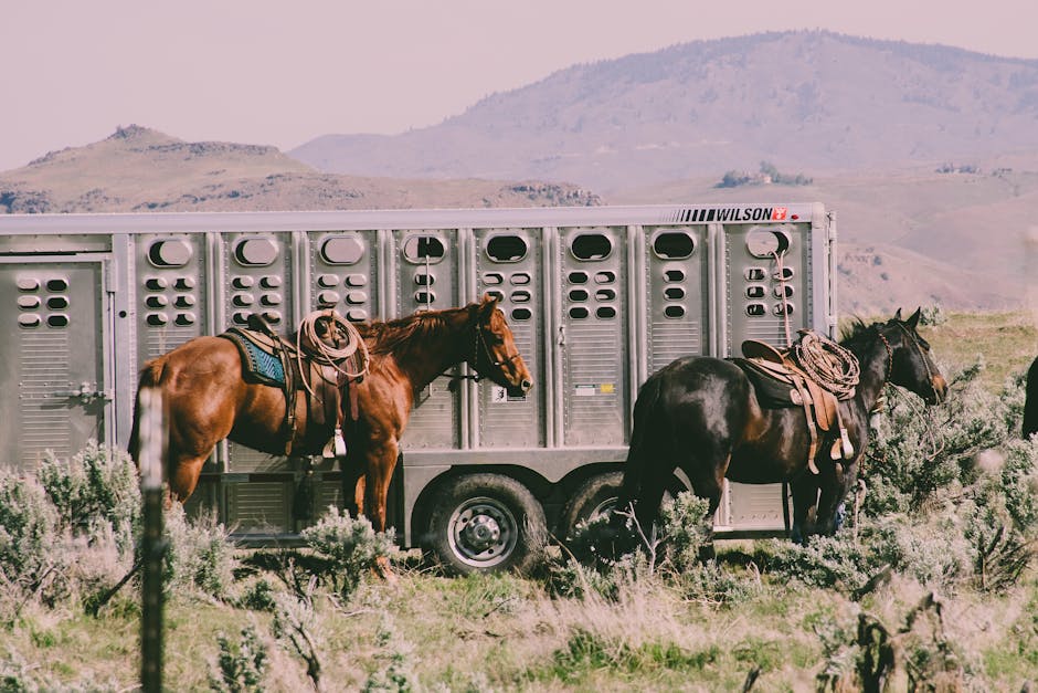 What It’s Like to Live in the Least Populated State in America