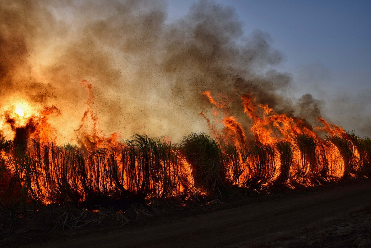 The U.S. State Where Wildfires Are Spreading Faster Than Ever—Scientists Explain Why