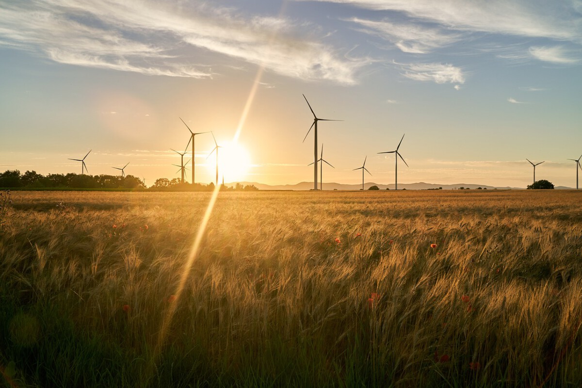 Texas Leads the Nation in Renewable Energy Growth: A Look at the Numbers