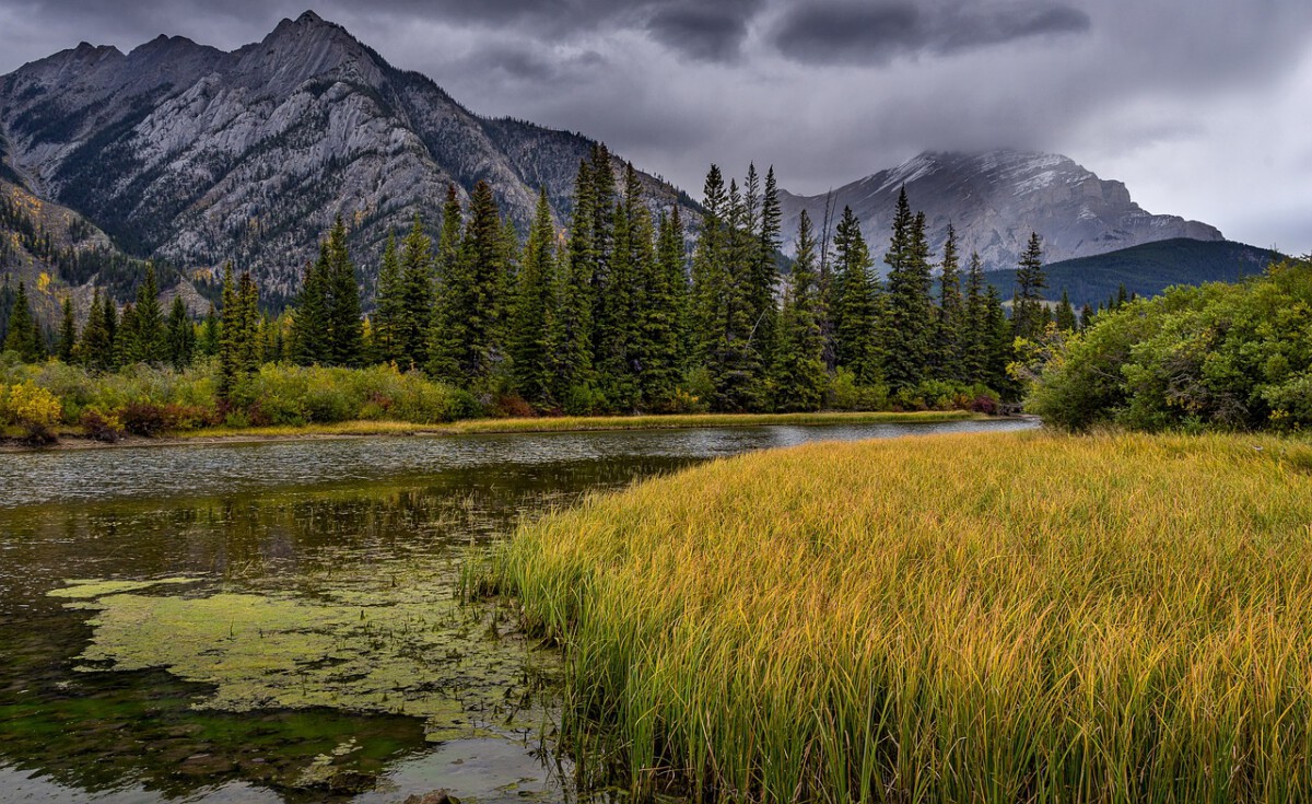 Why National Parks Matter More Than Ever