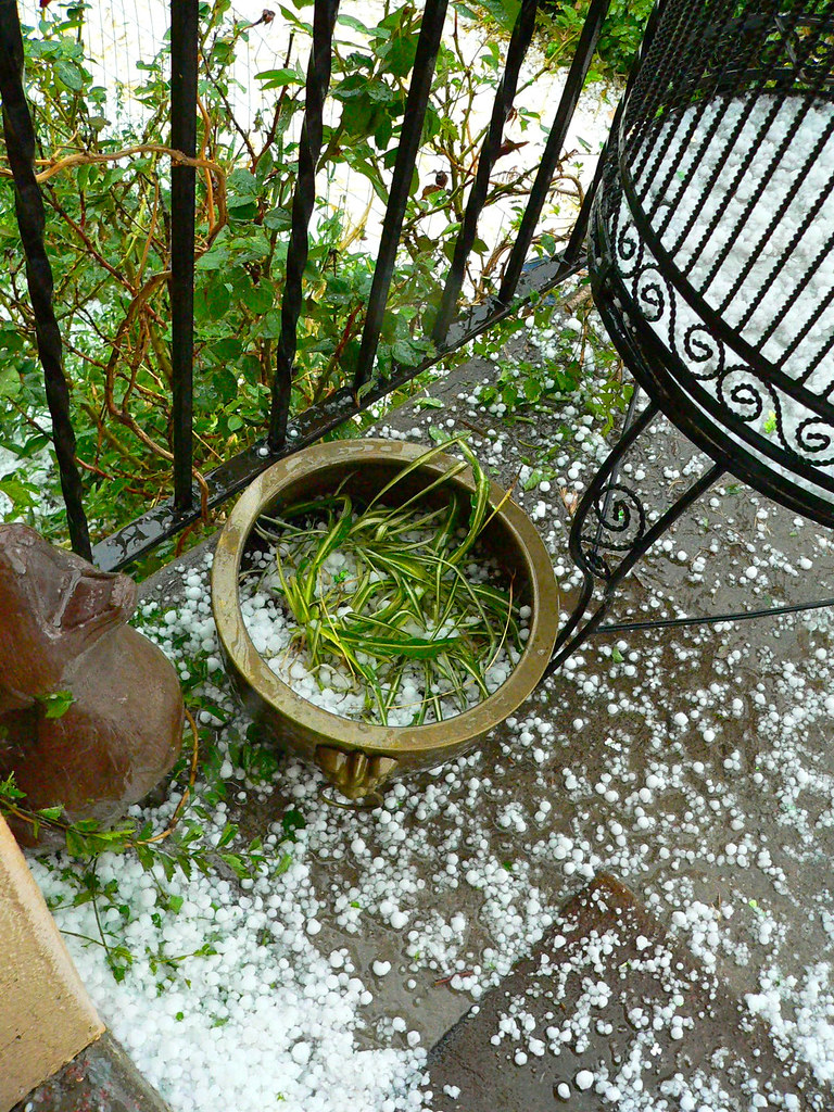 States Where Severe Hailstorms Are Becoming Increasingly Common