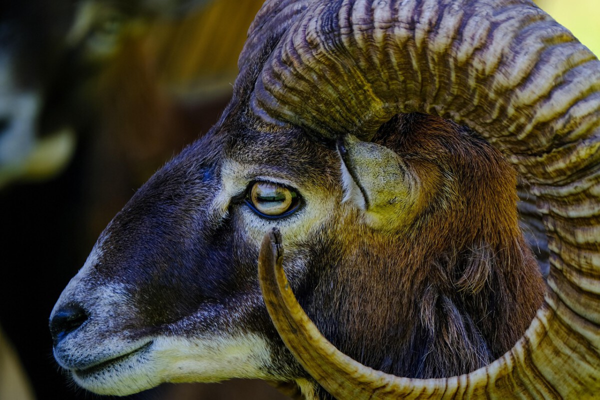 If You're One of These Signs, August Brings Your Breakthrough Moment