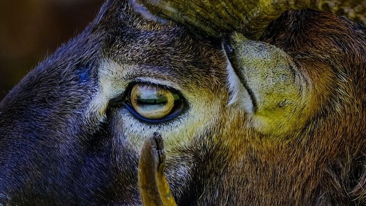 Top 3 Zodiac Signs Fueled By Passion - And 2 That Balance It With Logic