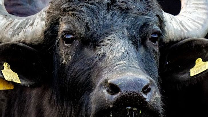 Top 6 Most Faithful Zodiac Signs - And The Secrets They Keep