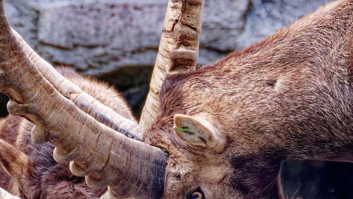 These 3 Zodiac Signs Carry Hidden Strength Few Can Match