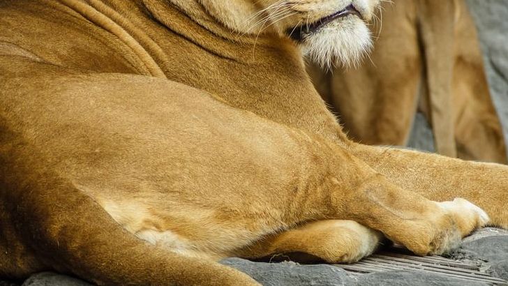 These 5 Zodiac Signs Are Quietly Becoming Unstoppable Forces