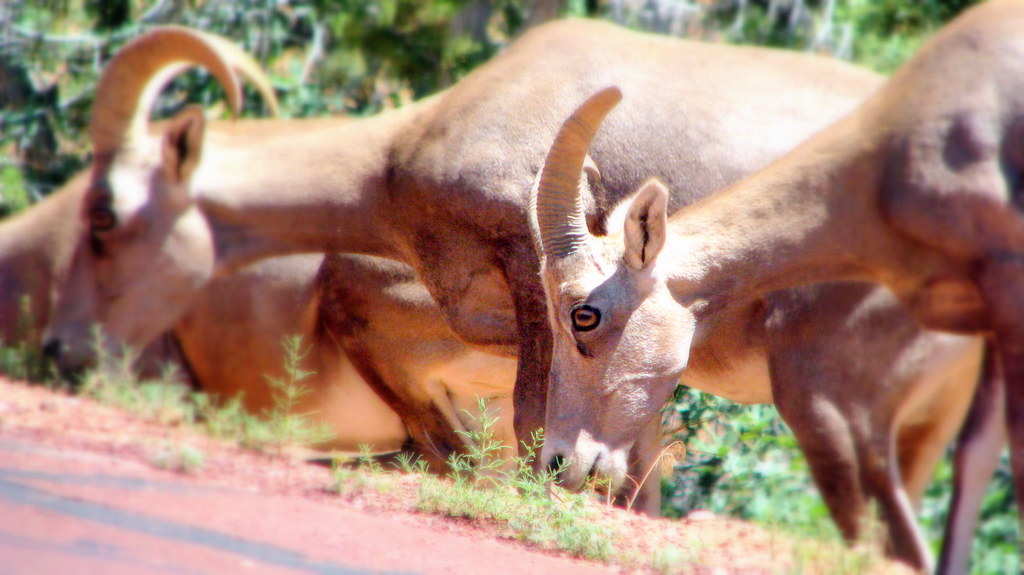 Why These 3 Zodiac Signs Rise Stronger After Every Heartbreak