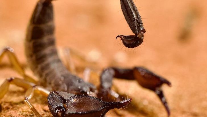 Why These 5 Zodiac Signs Refuse To Be Defined By Their Past