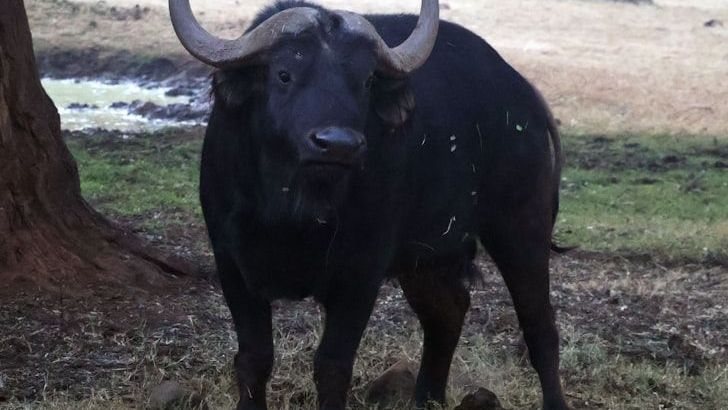 If You Hold These 3 Zodiac Signs, Prosperity Is Closer Than You Think