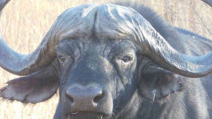 These 5 Zodiac Signs Are Quietly Becoming Forces To Be Reckoned With