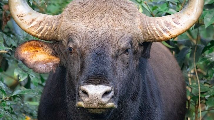 These 3 Zodiac Signs Will Soon Reclaim Control Over Their Lives