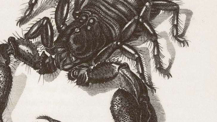 These 3 Zodiac Signs Are Quietly Preparing For A Big Comeback