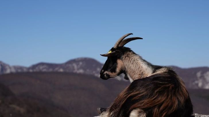 These 4 Zodiac Signs Will Soon Turn Past Pain Into Strength