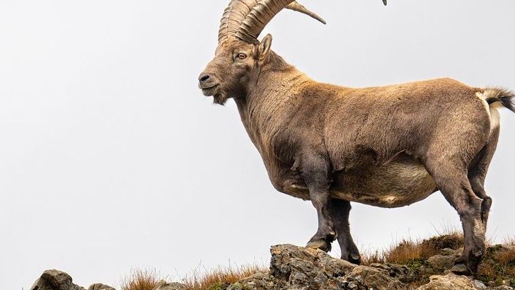 These 2 Zodiac Signs Are About To Experience Life-Changing Love