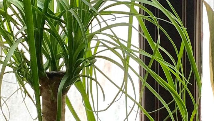 3 Things You Should Never Keep at Home (But Most People Still Do)