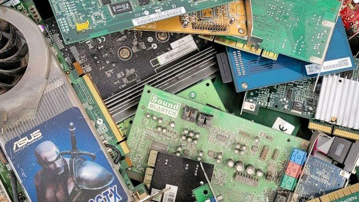 5 Things You're Not Allowed to Bury in the Yard (But People Still Do)