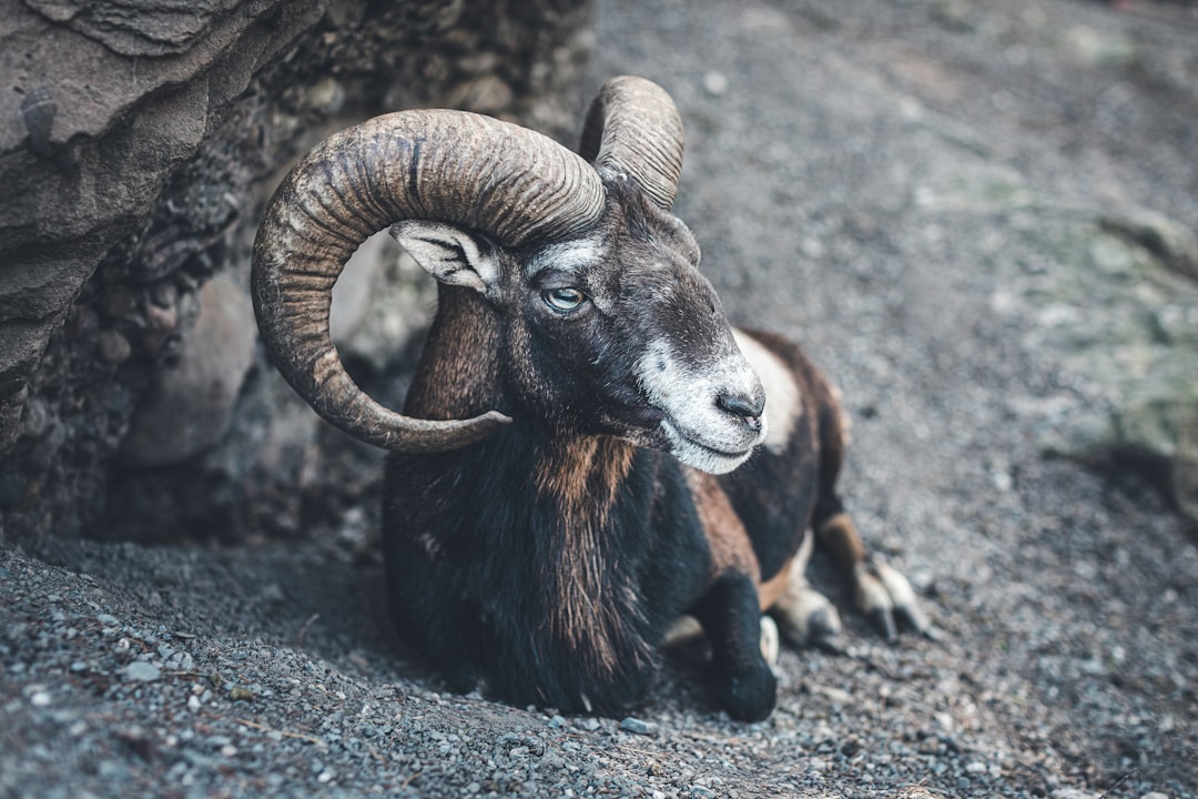 Warning: These 3 Zodiac Signs Could Face A Major Turning Point Soon