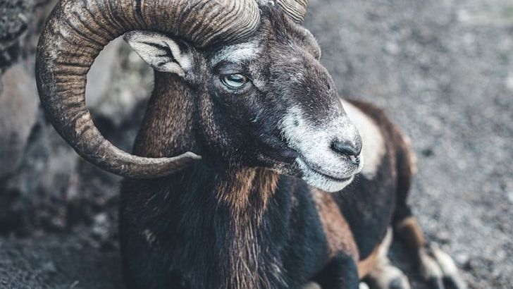 Warning: These 3 Zodiac Signs Could Face A Major Turning Point Soon