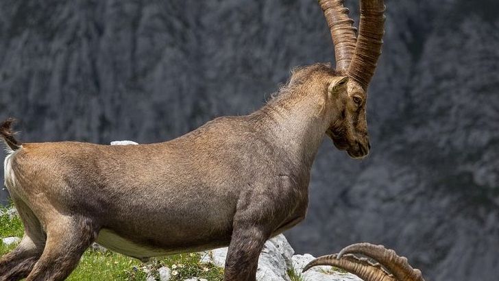 These 5 Zodiac Signs Are Breaking Free From Old Cycles At Last