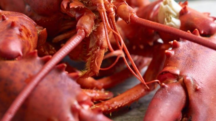 Why These 5 Old Restaurant Chains Deserve A Second Chance