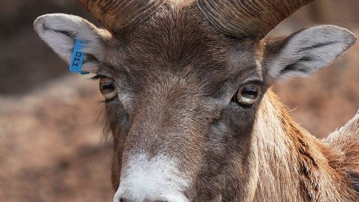 These 4 Zodiac Signs Are About To Step Into Unstoppable Confidence