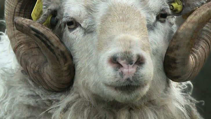 Warning: These 5 Zodiac Signs Could Clash With Powerful Egos This Month
