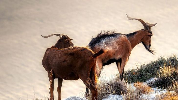These 5 Zodiac Signs Are Rising Above Doubt and Stepping Into Courage