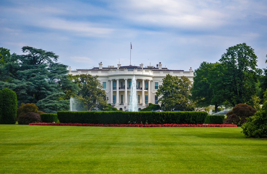 Arellano: Trump has turned the White House into a government of 'snowflakes'