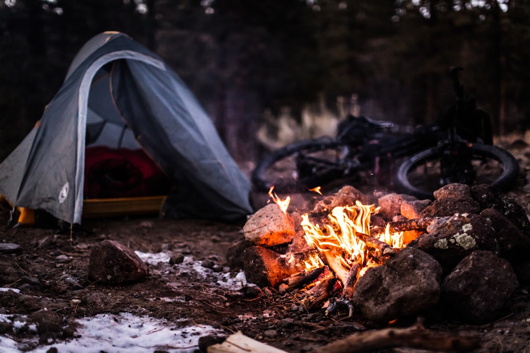Citing fire risk, Malibu wants to arrest homeless people who refuse to stop camping illegally