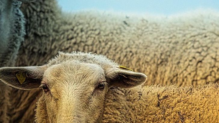These 5 Zodiac Signs Are Stepping Into A Season Of Boundless Expansion