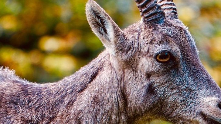 Why These 2 Zodiac Signs Are Finally Releasing What's Been Holding Them Back