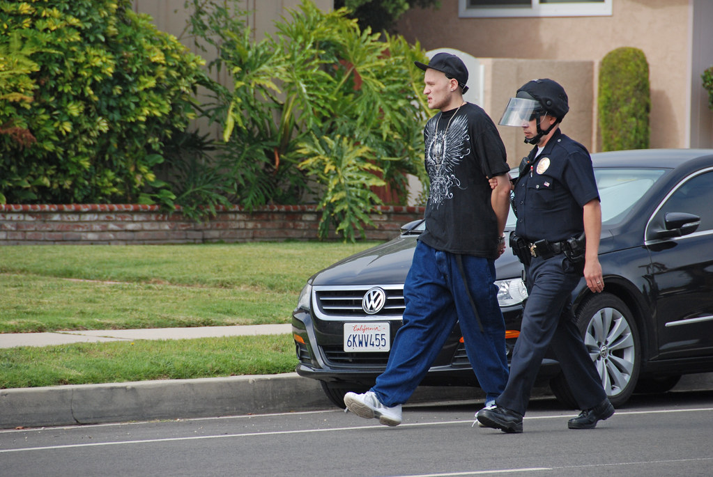 Thanksgiving heist goes cold: Cops gobble up 3 late-night burglars at Mag Mile department store