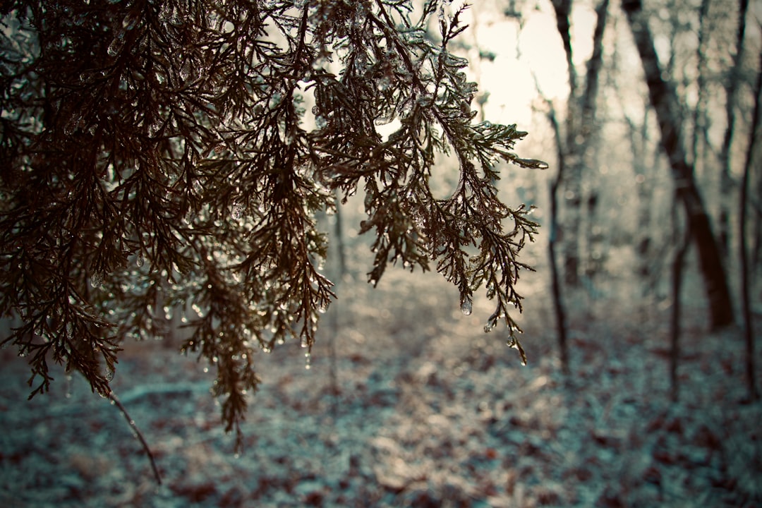 St. Louis storm: Tracking snow and cold in the region