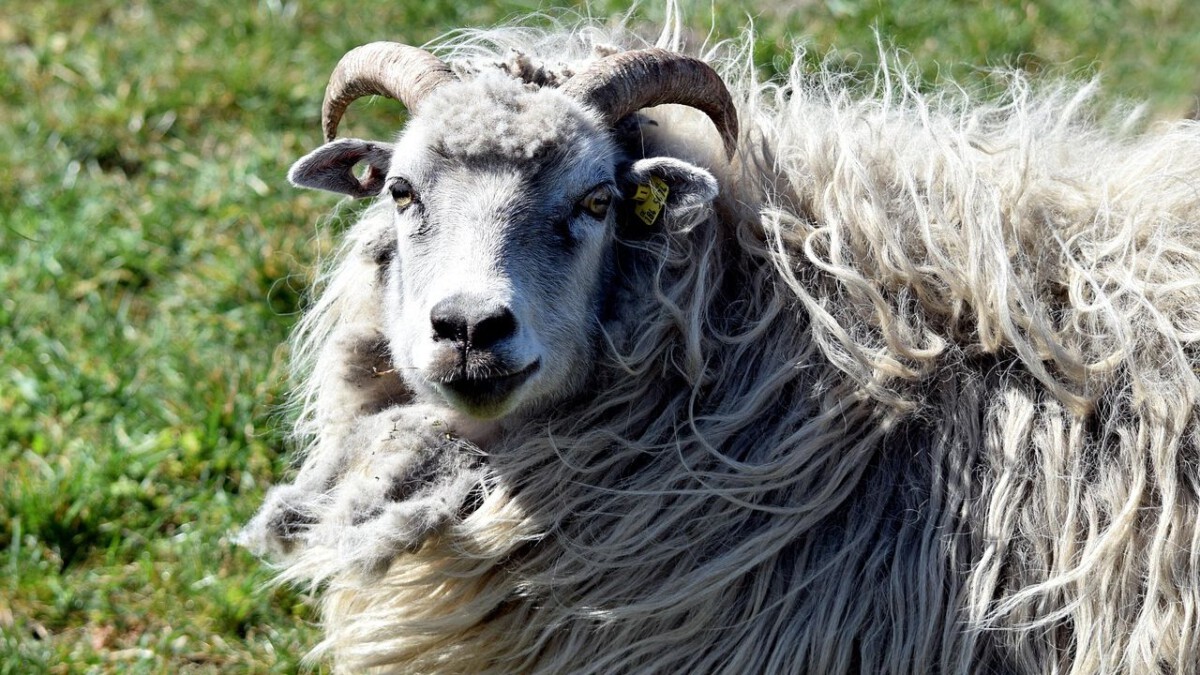 These 3 Zodiac Signs Will Finally Feel Ready To Begin Again