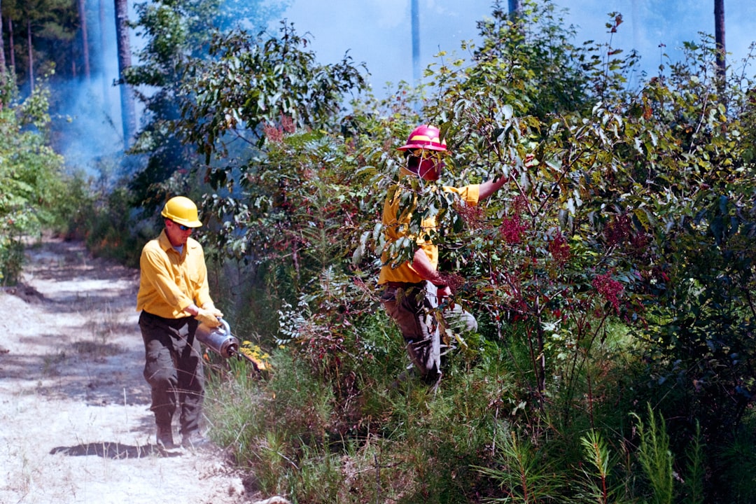 D.A.'s undercover sting targets 'criminal contractors' in L.A. wildfire zones