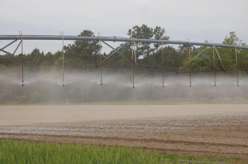 Some big water agencies in farming areas get water for free. Critics say that needs to end